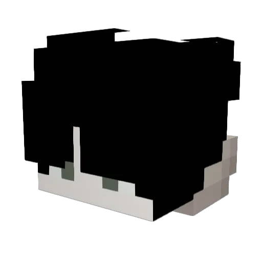 plaguedealer Minecraft avatar head, 3D render