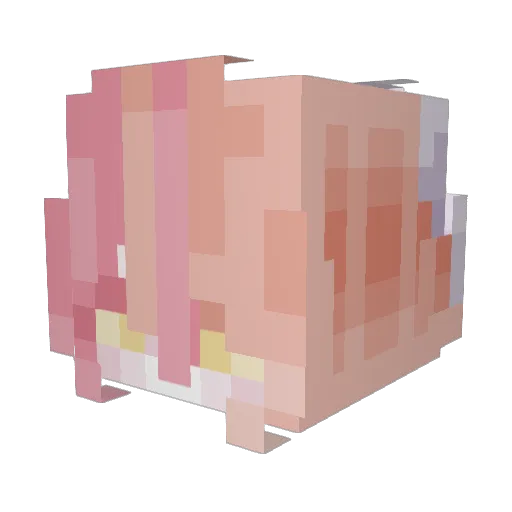 plagueheron_ Minecraft avatar head, 3D render