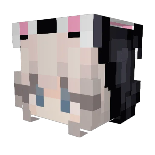 plaguesoda Minecraft avatar head, 3D render
