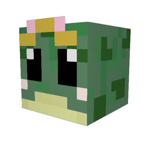 plaicia Minecraft avatar head, 3D render