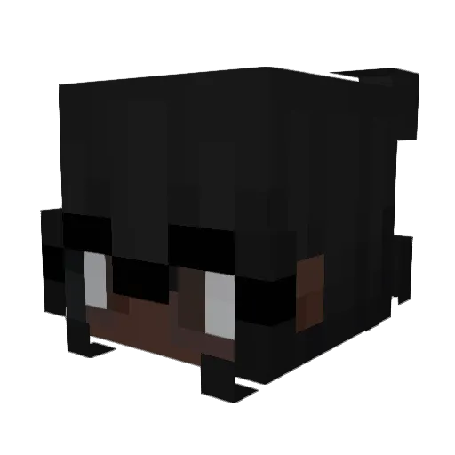 plainjanex Minecraft avatar head, 3D render