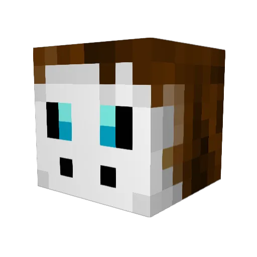 plakythebirb Minecraft avatar head, 3D render