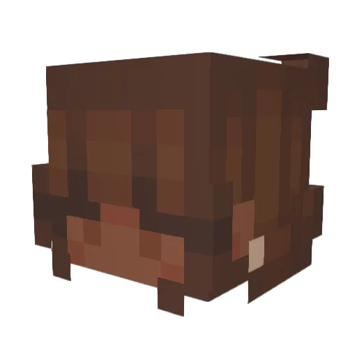 planetmars0 Minecraft avatar head, 3D render