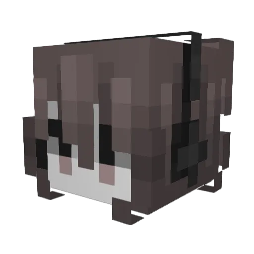 planirkus Minecraft avatar head, 3D render
