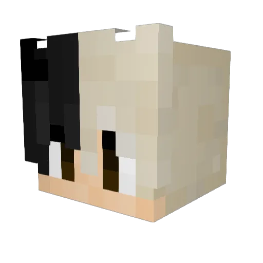 plantdude7824 Minecraft avatar head, 3D render