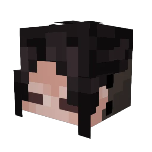 plante02 Minecraft avatar head, 3D render