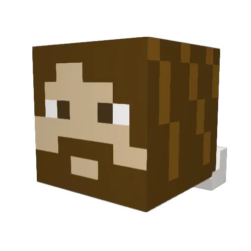 plasmasprite Minecraft avatar head, 3D render
