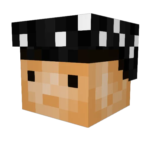 plaswaterchef Minecraft avatar head, 3D render