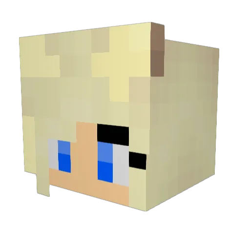 platapus173 Minecraft avatar head, 3D render