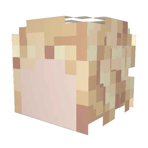 plateau_ Minecraft avatar head, 3D render
