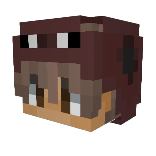 platin9 Minecraft avatar head, 3D render