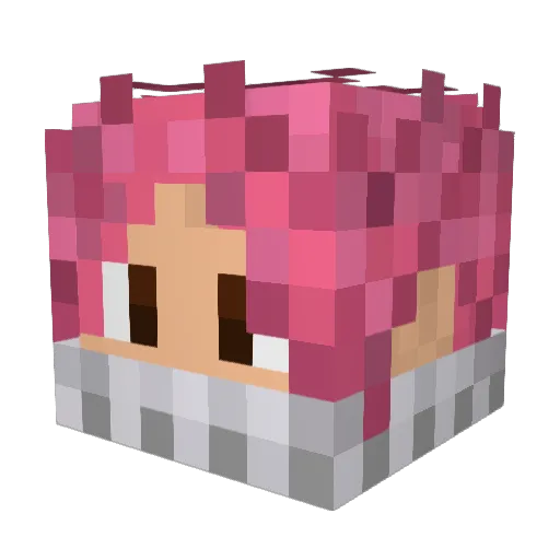 platno11 Minecraft avatar head, 3D render