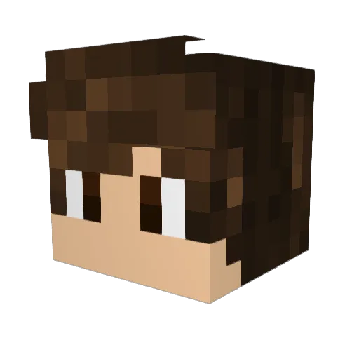 platypos Minecraft avatar head, 3D render