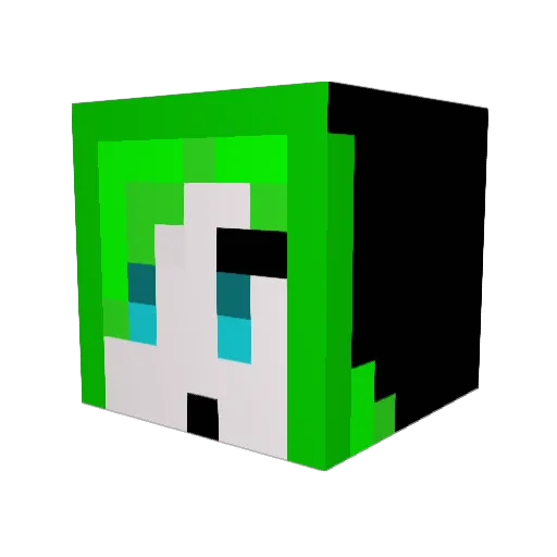 platypox Minecraft avatar head, 3D render