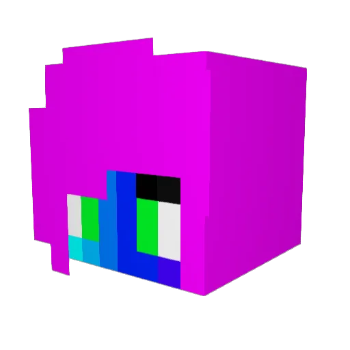 platypus_nyc Minecraft avatar head, 3D render