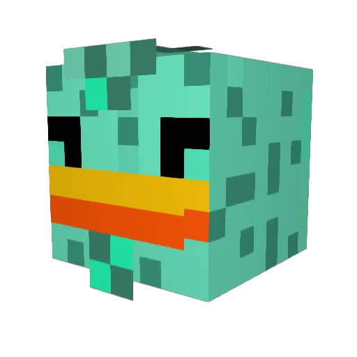 platypusmaster13 Minecraft avatar head, 3D render