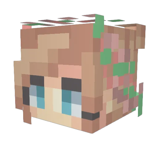 platypusoflol Minecraft avatar head, 3D render