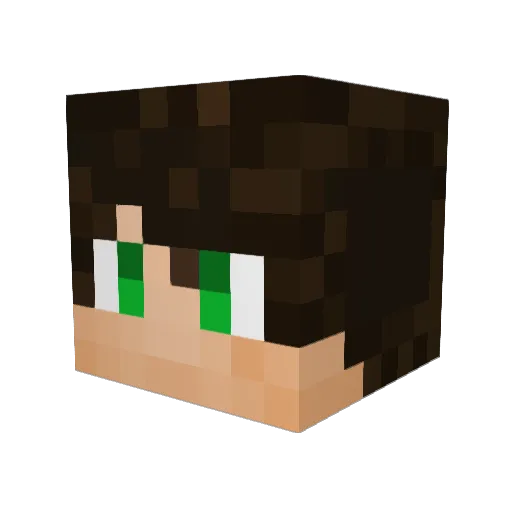 platysan Minecraft avatar head, 3D render