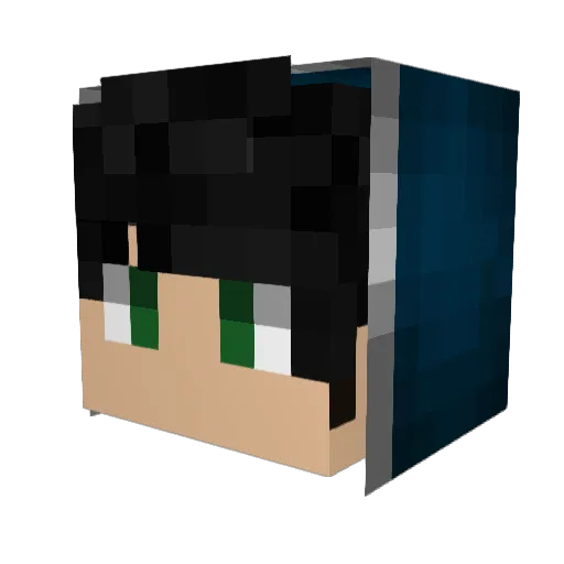 plauge5472 Minecraft avatar head, 3D render