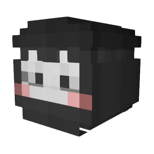 plaw2_ Minecraft avatar head, 3D render
