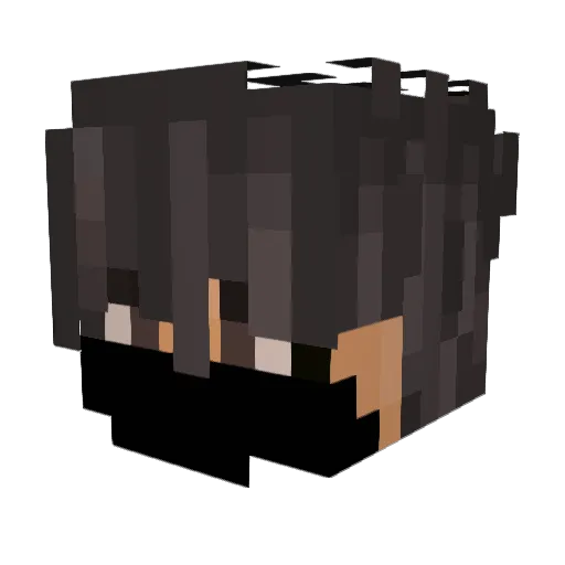 plawnoj Minecraft avatar head, 3D render