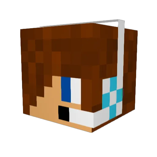 playalot3 Minecraft avatar head, 3D render