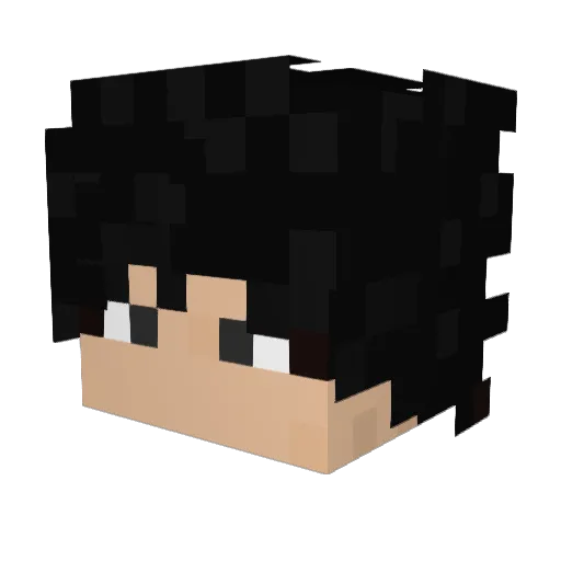 playboiskills Minecraft avatar head, 3D render