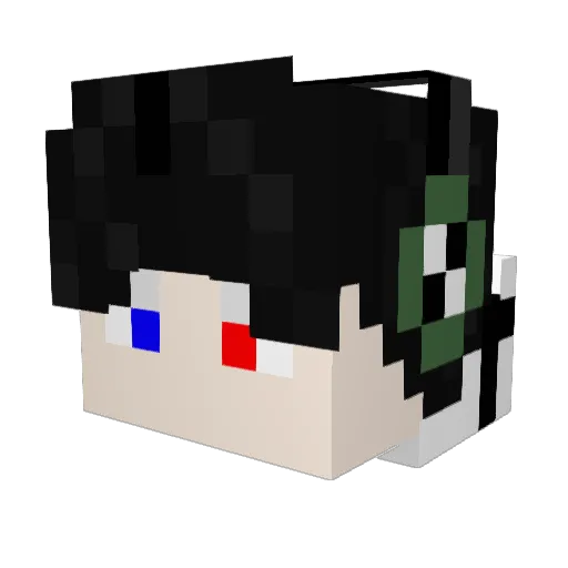 player1114514 Minecraft avatar head, 3D render