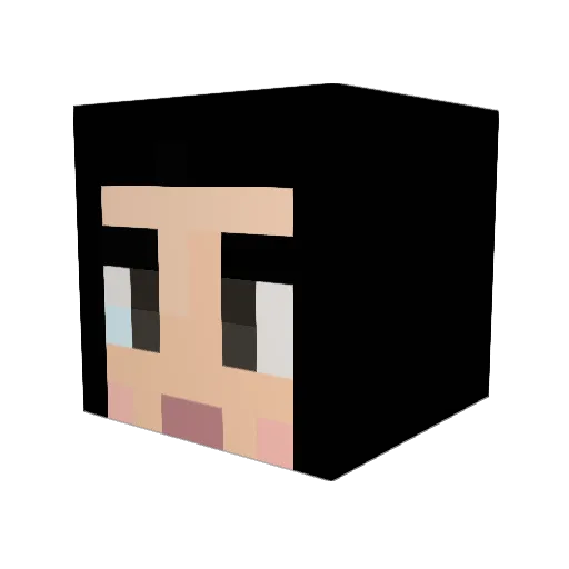 player6 Minecraft avatar head, 3D render