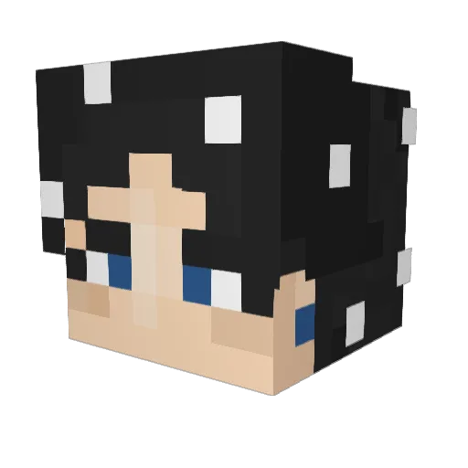 player888__ Minecraft avatar head, 3D render