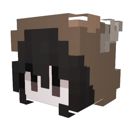 player_634245 Minecraft avatar head, 3D render