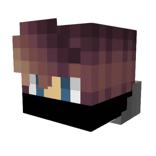 player___unknown Minecraft avatar head, 3D render
