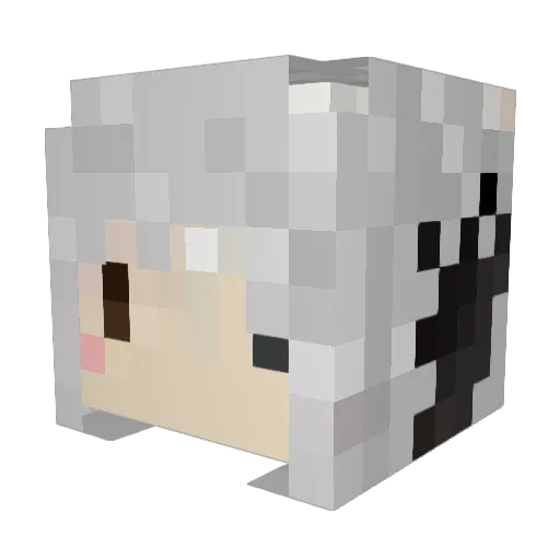 playerbsqq Minecraft avatar head, 3D render