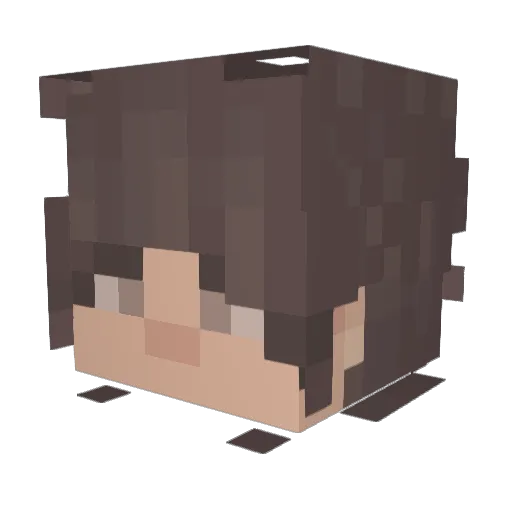 playercountx Minecraft avatar head, 3D render