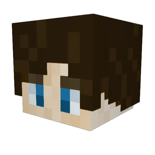 playerofgamer Minecraft avatar head, 3D render