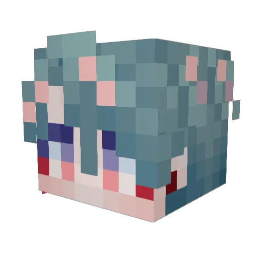 players147 Minecraft avatar head, 3D render