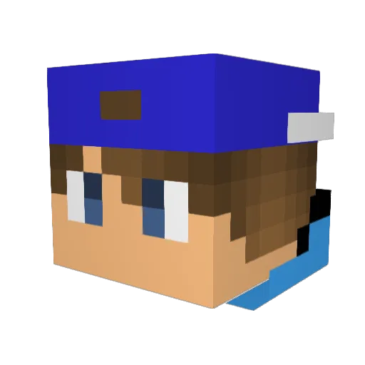 playminecraft234 Minecraft avatar head, 3D render