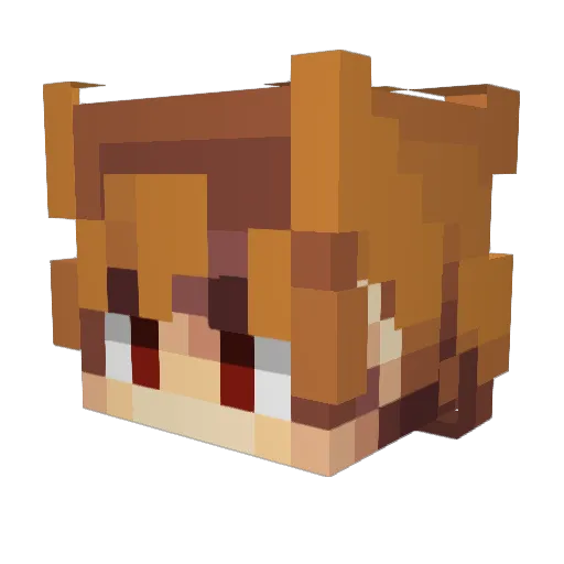 playrisk2day Minecraft avatar head, 3D render