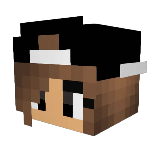 plays_kawaii Minecraft avatar head, 3D render