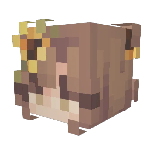 pleadfarmer Minecraft avatar head, 3D render