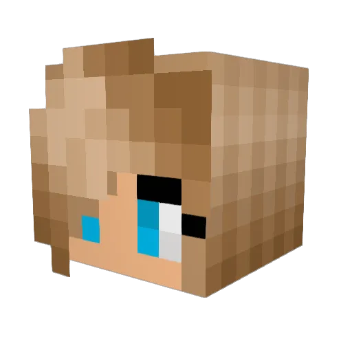 pleasantlyfinn Minecraft avatar head, 3D render
