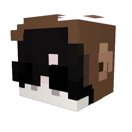 pleasedly Minecraft avatar head, 3D render