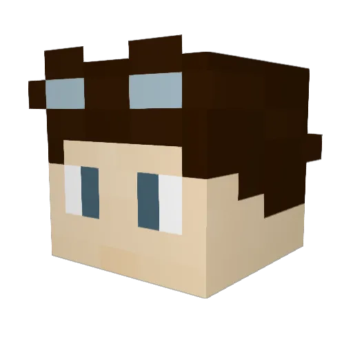 pleb_lord5000 Minecraft avatar head, 3D render