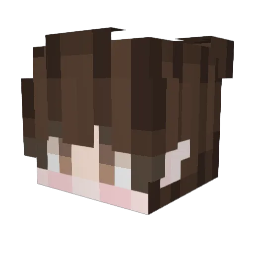 plebenn Minecraft avatar head, 3D render