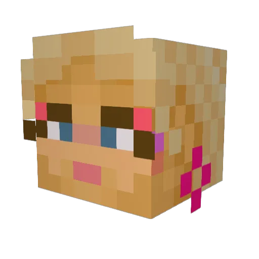 plebon60hz Minecraft avatar head, 3D render