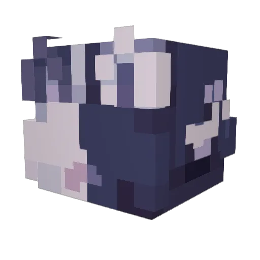 pleeeblet29 Minecraft avatar head, 3D render