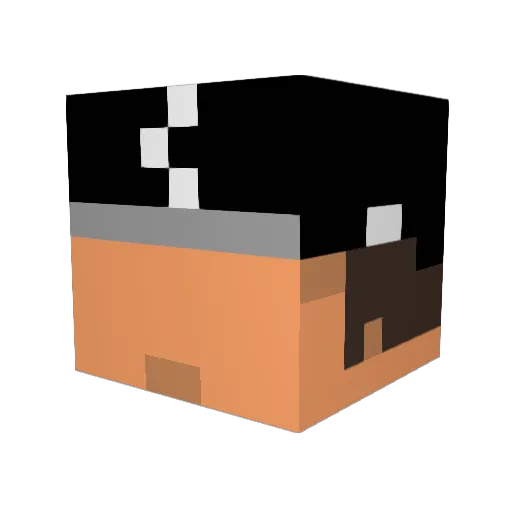pleexi Minecraft avatar head, 3D render