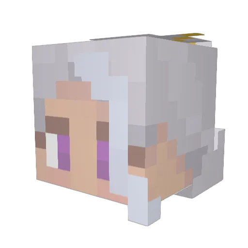 plentifulnoodles Minecraft avatar head, 3D render