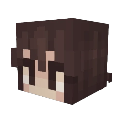 pleppy Minecraft avatar head, 3D render