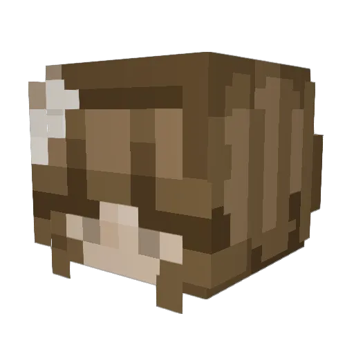 pleuntje Minecraft avatar head, 3D render